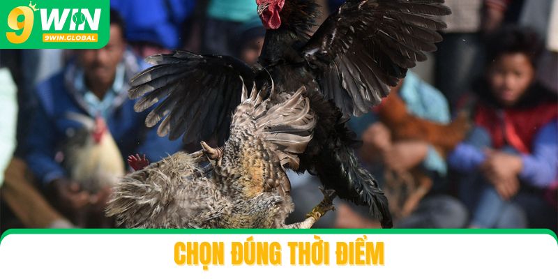 Chọn đúng thời điểm để cảm nhận không khí sôi động