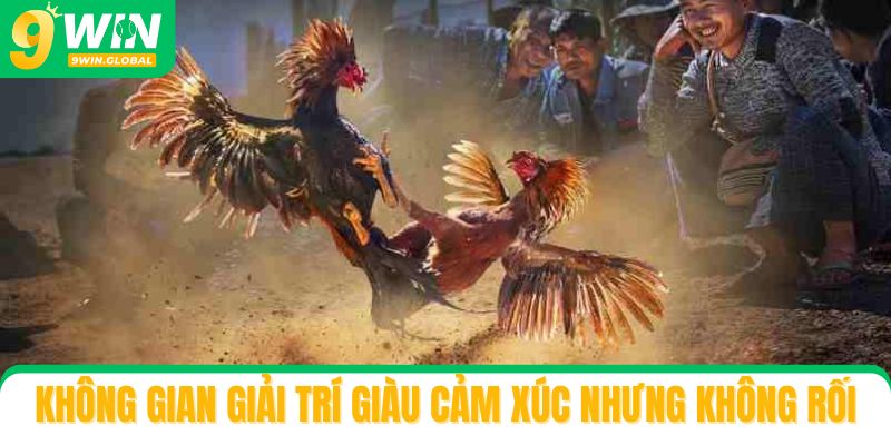 Không gian giải trí giàu cảm xúc nhưng không rối